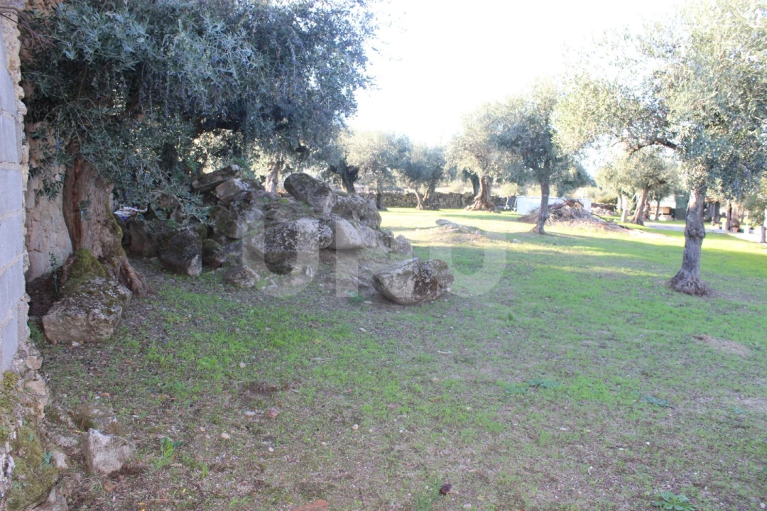 Terreno para Venda em Escalos de Cima e Lousa Foto 8