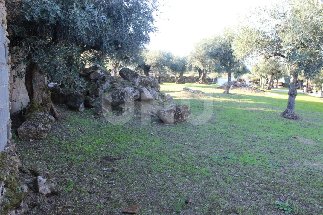 Terreno para Venda em Escalos de Cima e Lousa Foto 10