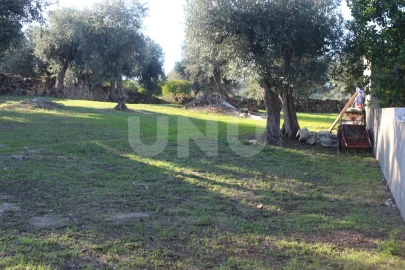 Terreno para Venda em Escalos de Cima e Lousa