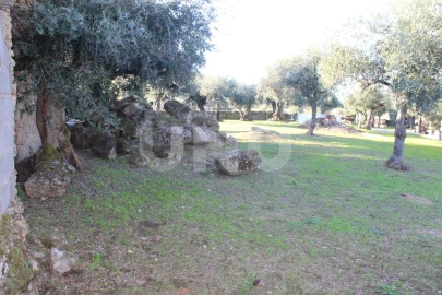 Terreno para Venda em Escalos de Cima e Lousa