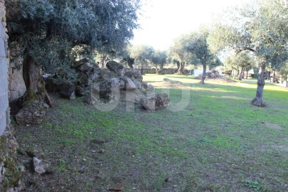 Terreno para Venda em Escalos de Cima e Lousa