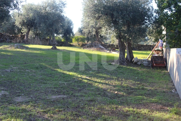 Terreno para Venda em Escalos de Cima e Lousa Foto 5