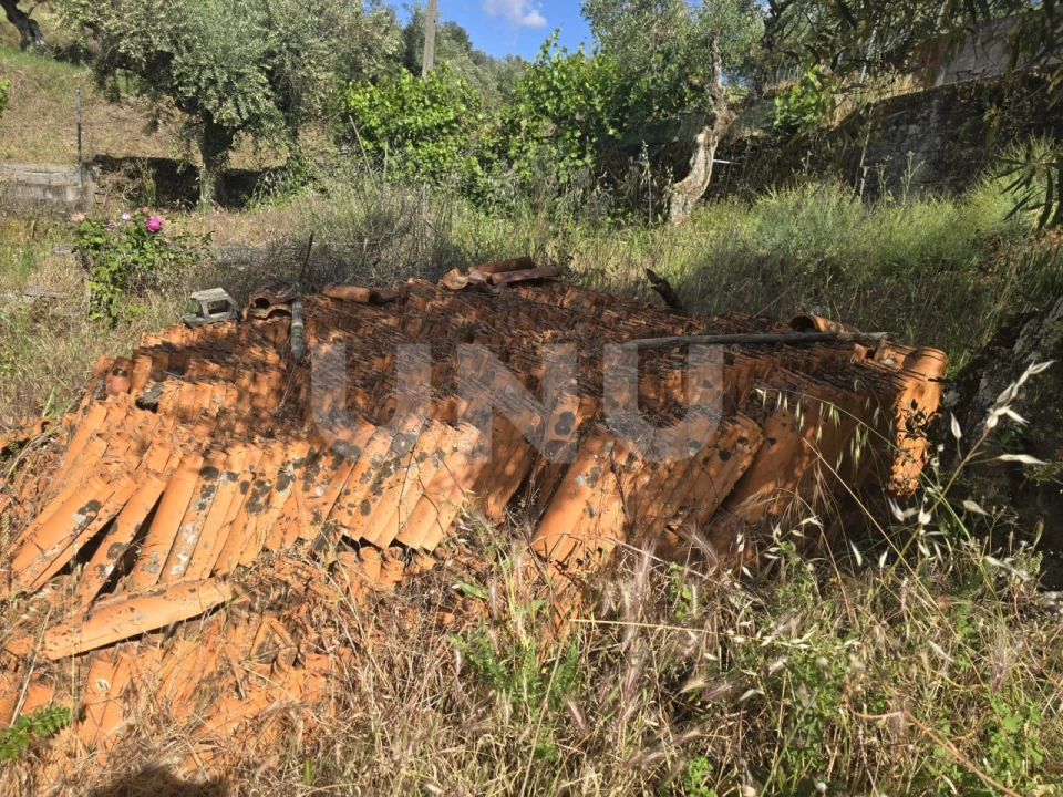 Terreno Agricola ou Rústico para Venda em Cebolais de Cima e Retaxo Foto 11