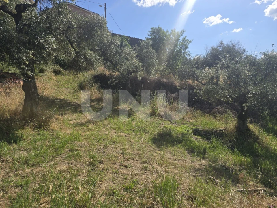 Terreno Agricola ou Rústico para Venda em Cebolais de Cima e Retaxo Foto 16