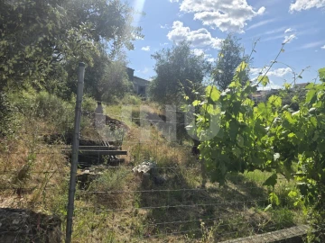 Terreno Agricola ou Rústico para Venda em Cebolais de Cima e Retaxo