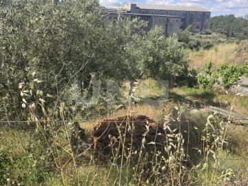Terreno Agricola ou Rústico para Venda em Cebolais de Cima e Retaxo