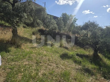 Terreno Agricola ou Rústico para Venda em Cebolais de Cima e Retaxo