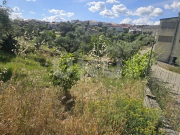 Terreno Agricola ou Rústico para Venda em Cebolais de Cima e Retaxo
