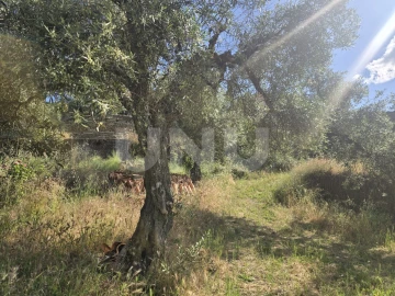 Terreno Agricola ou Rústico para Venda em Cebolais de Cima e Retaxo