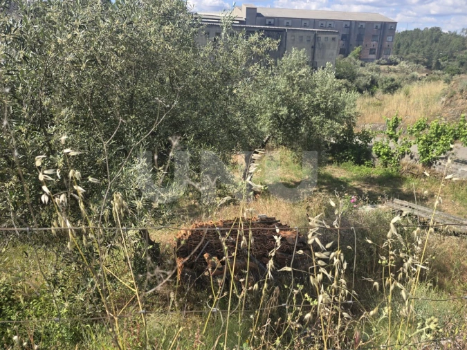 Terreno Agricola ou Rústico para Venda em Cebolais de Cima e Retaxo Foto 8