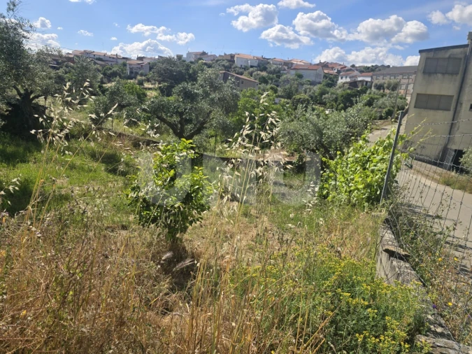Terreno Agricola ou Rústico para Venda em Cebolais de Cima e Retaxo Foto 13