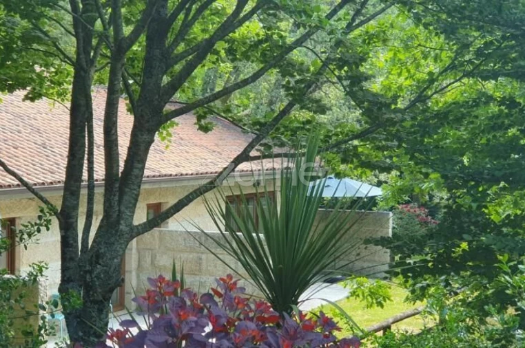 Quinta T10 para Venda em Campo do Geres Foto 23