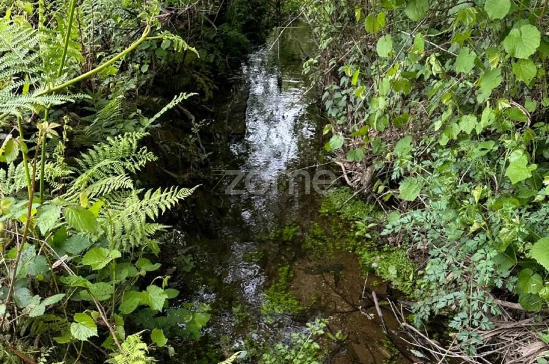 Terreno para Venda em Cristelo Foto 10