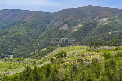 Quinta T9 para Venda em Provesende, Gouvães Douro, São Cristóvão Douro