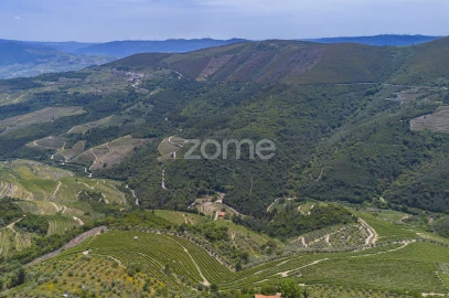 Quinta T9 para Venda em Provesende, Gouvães Douro, São Cristóvão Douro