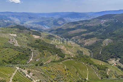 Quinta T9 para Venda em Provesende, Gouvães Douro, São Cristóvão Douro