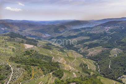 Quinta T9 para Venda em Provesende, Gouvães Douro, São Cristóvão Douro