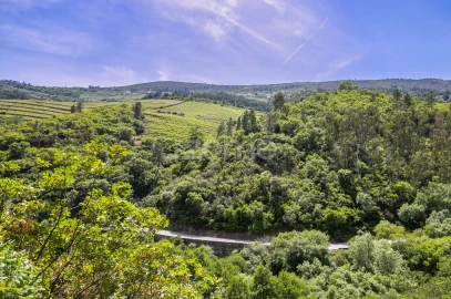 Quinta T9 para Venda em Provesende, Gouvães Douro, São Cristóvão Douro