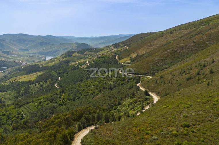 Quinta T9 para Venda em Provesende, Gouvães Douro, São Cristóvão Douro Foto 2