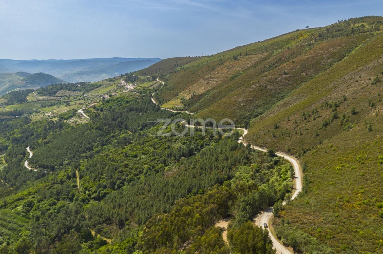 Quinta T9 para Venda em Provesende, Gouvães Douro, São Cristóvão Douro Foto 3