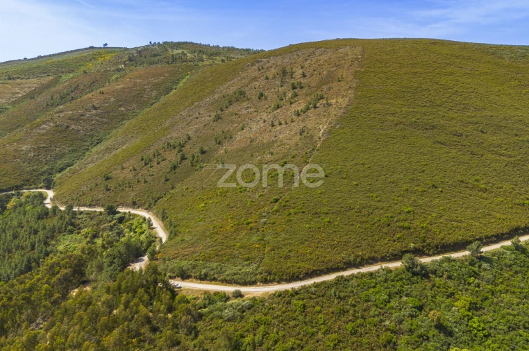 Quinta T9 para Venda em Provesende, Gouvães Douro, São Cristóvão Douro Foto 4