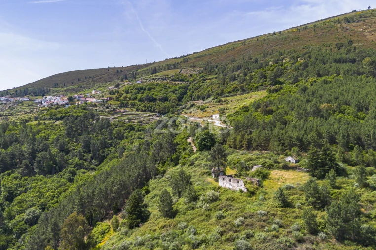 Quinta T9 para Venda em Provesende, Gouvães Douro, São Cristóvão Douro Foto 5