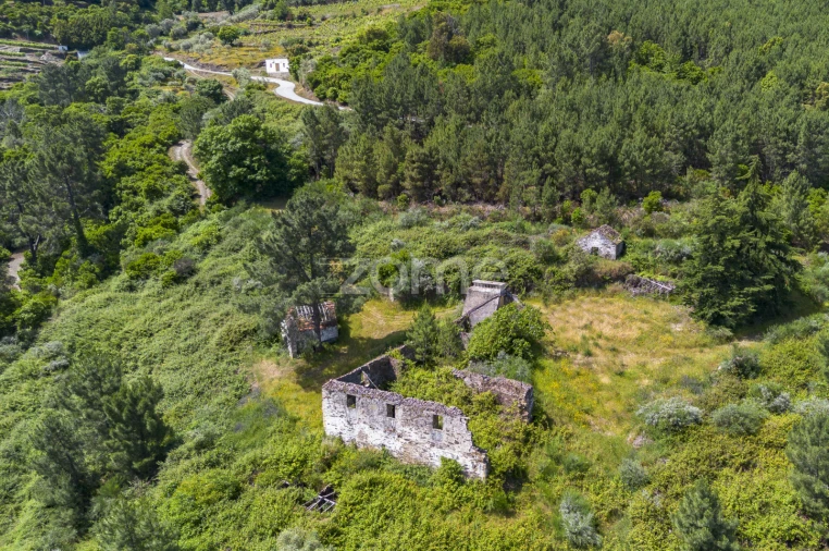 Quinta T9 para Venda em Provesende, Gouvães Douro, São Cristóvão Douro Foto 6