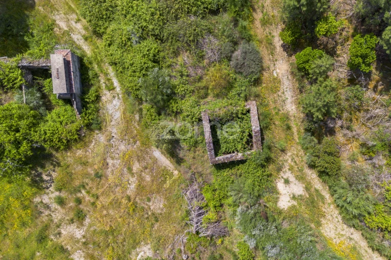 Quinta T9 para Venda em Provesende, Gouvães Douro, São Cristóvão Douro Foto 10