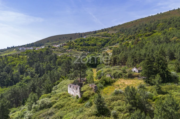 Quinta T9 para Venda em Provesende, Gouvães Douro, São Cristóvão Douro Foto 12