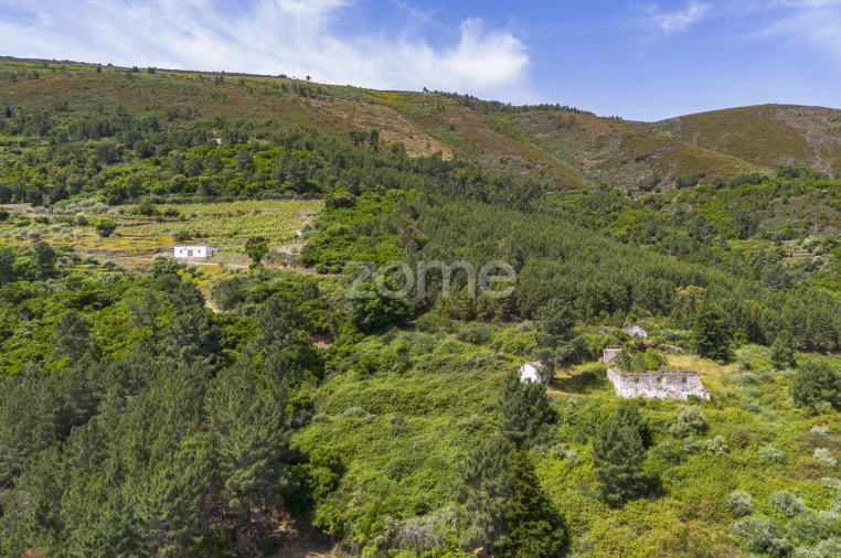 Quinta T9 para Venda em Provesende, Gouvães Douro, São Cristóvão Douro Foto 13