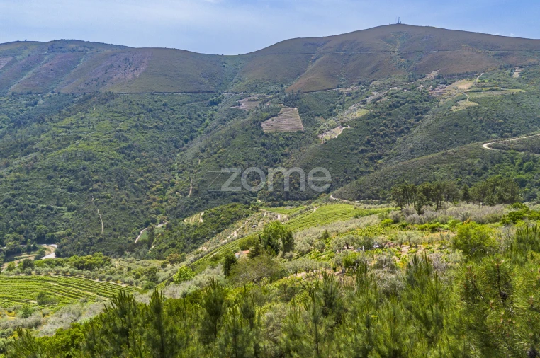 Quinta T9 para Venda em Provesende, Gouvães Douro, São Cristóvão Douro Foto 15