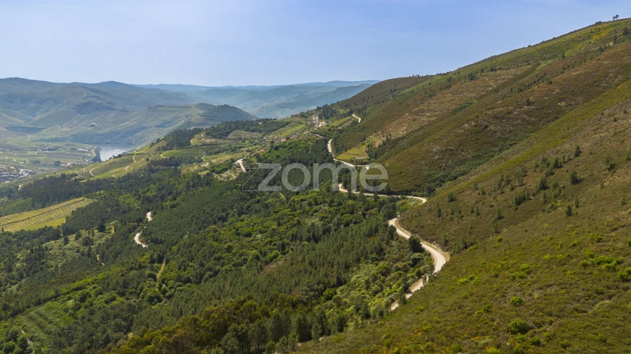 Quinta T9 para Venda em Provesende, Gouvães Douro, São Cristóvão Douro