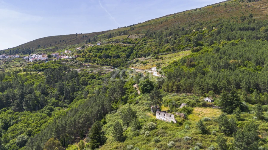 Quinta T9 para Venda em Provesende, Gouvães Douro, São Cristóvão Douro
