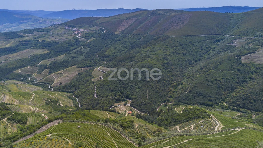Quinta T9 para Venda em Provesende, Gouvães Douro, São Cristóvão Douro
