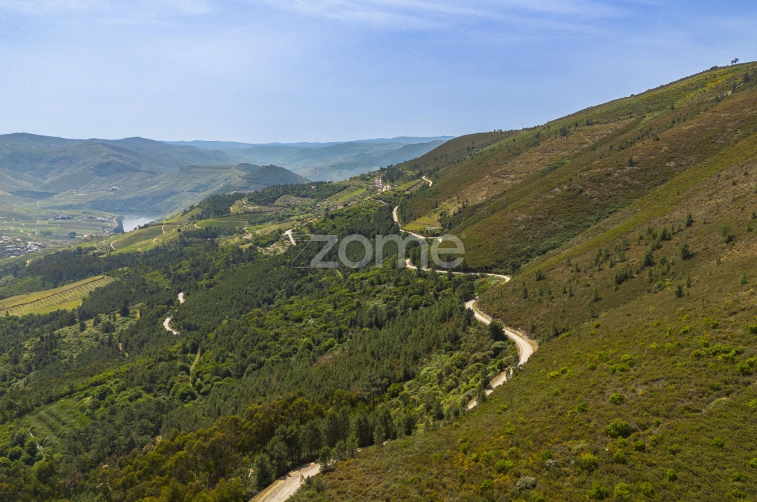 Quinta T9 para Venda em Provesende, Gouvães Douro, São Cristóvão Douro Foto 1