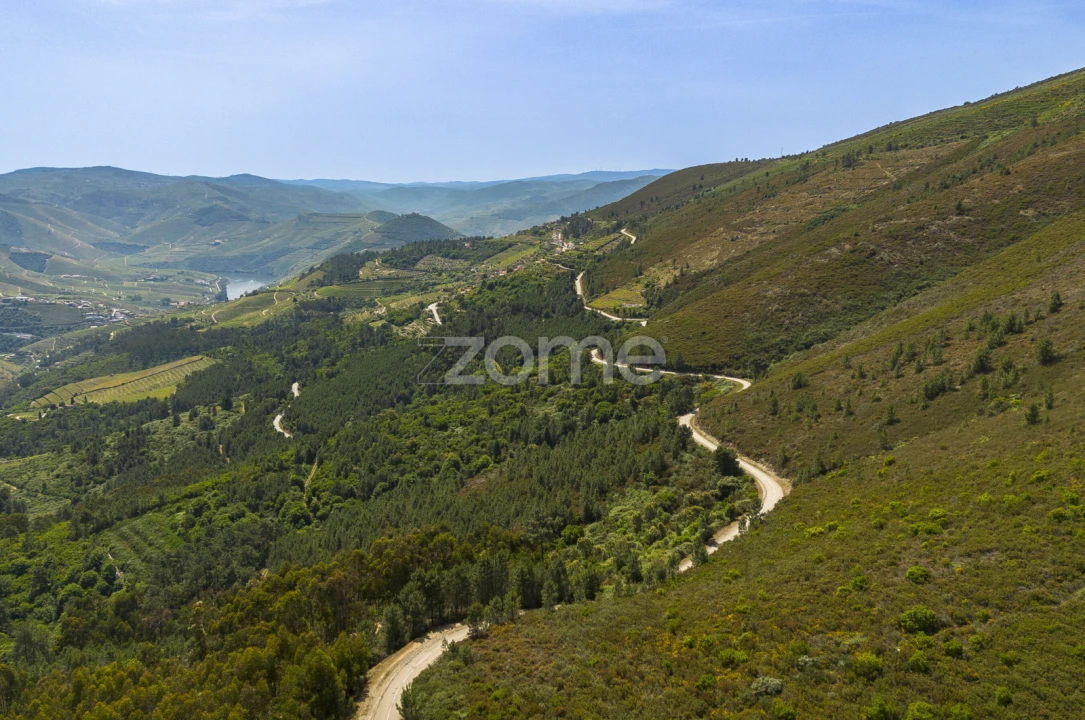Quinta T9 para Venda em Provesende, Gouvães Douro, São Cristóvão Douro Foto 2