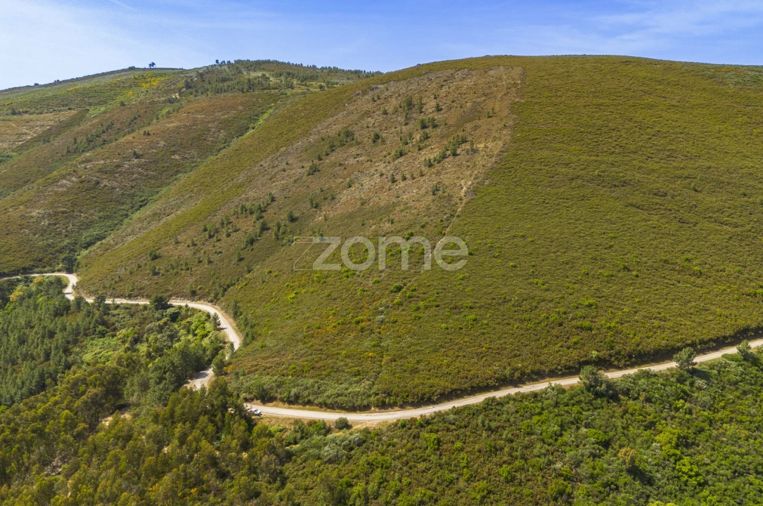 Quinta T9 para Venda em Provesende, Gouvães Douro, São Cristóvão Douro Foto 4