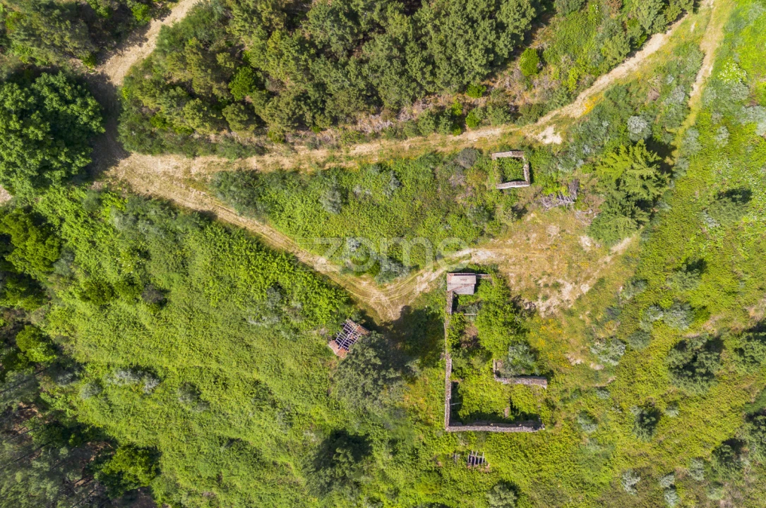 Quinta T9 para Venda em Provesende, Gouvães Douro, São Cristóvão Douro Foto 8