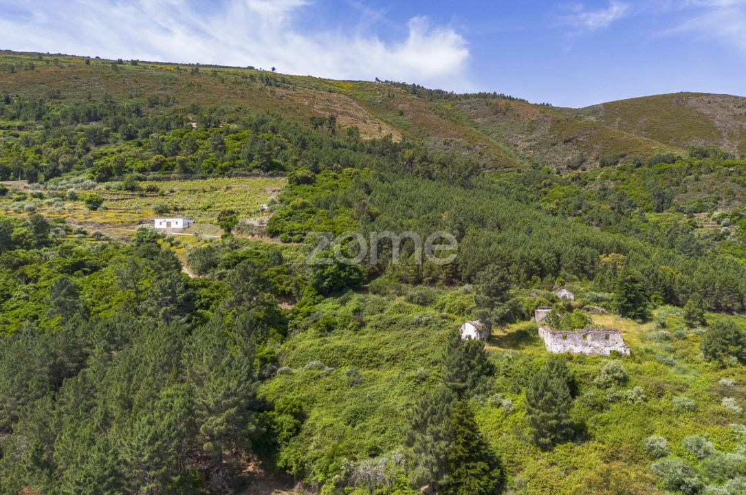 Quinta T9 para Venda em Provesende, Gouvães Douro, São Cristóvão Douro Foto 13