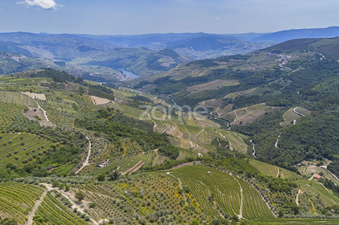Quinta T9 para Venda em Provesende, Gouvães Douro, São Cristóvão Douro Foto 17