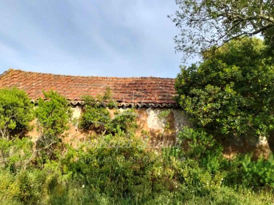 Terreno Misto para Venda em São Francisco da Serra Foto 3