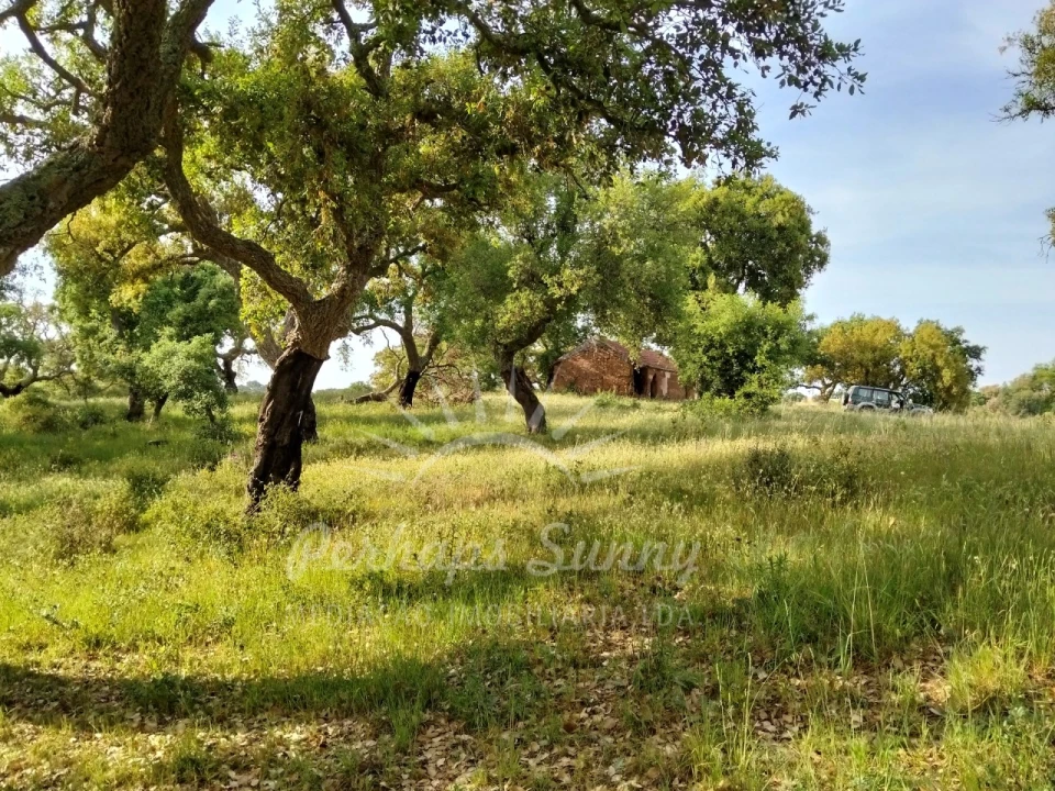Terreno Misto para Venda em São Francisco da Serra Foto 5