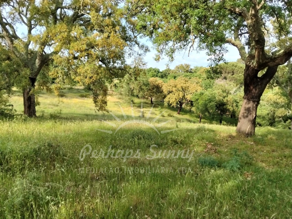 Terreno Misto para Venda em São Francisco da Serra Foto 20