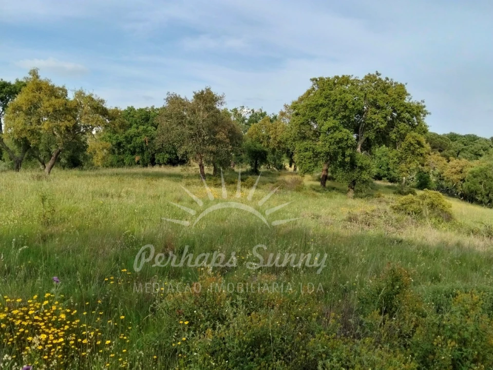 Terreno Misto para Venda em São Francisco da Serra Foto 21