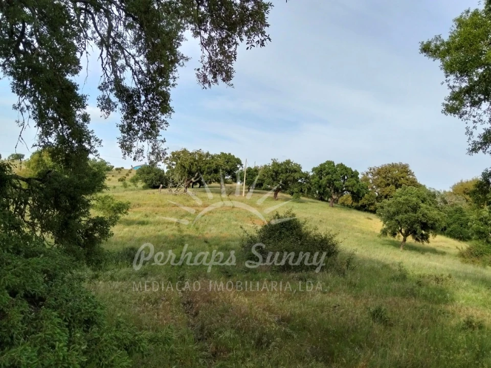 Terreno Misto para Venda em São Francisco da Serra Foto 23