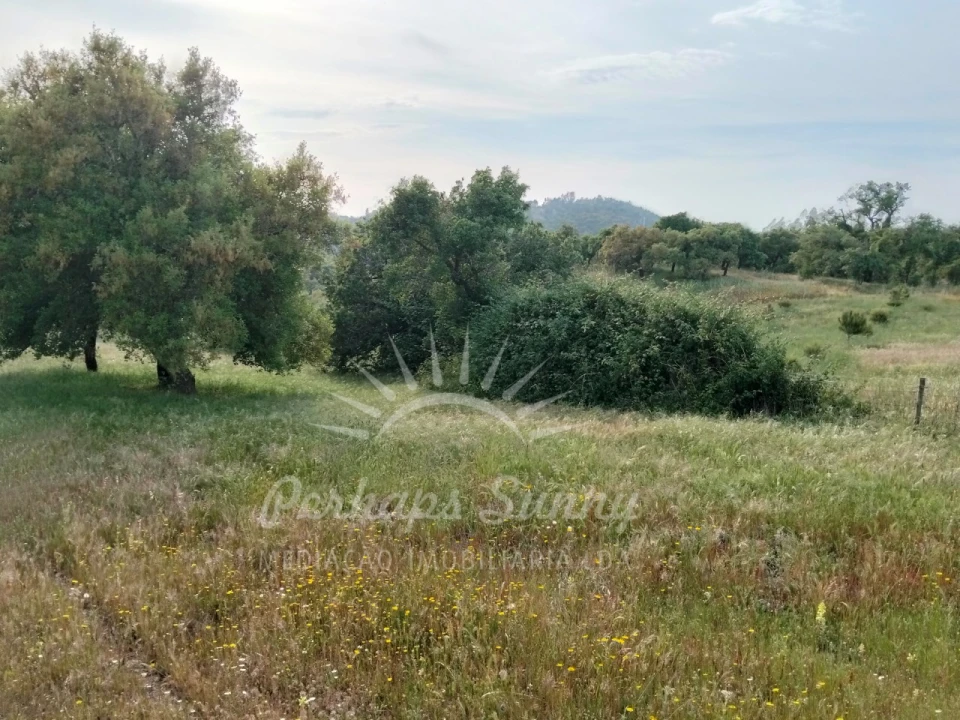 Terreno Misto para Venda em São Francisco da Serra Foto 24