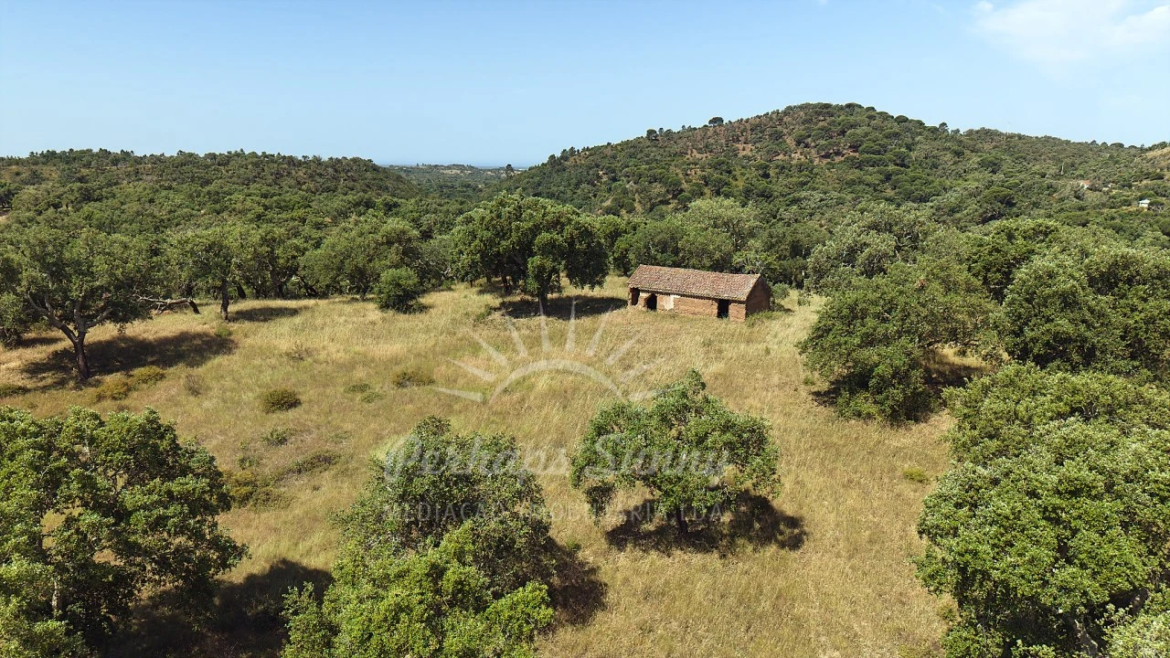 Terreno Misto para Venda em São Francisco da Serra Foto 6
