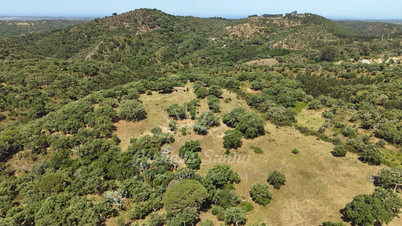 Terreno Misto para Venda em São Francisco da Serra Foto 7