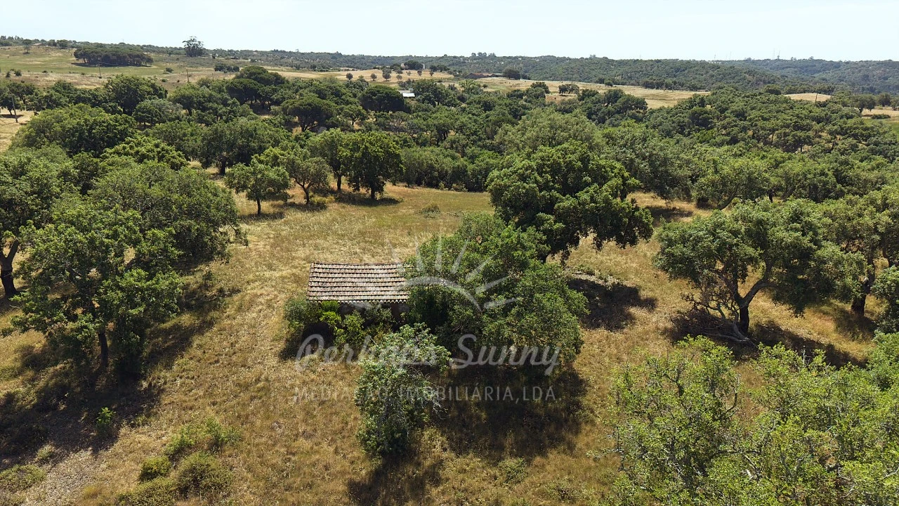 Terreno Misto para Venda em São Francisco da Serra Foto 25