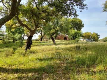 Terreno Misto para Venda em São Francisco da Serra